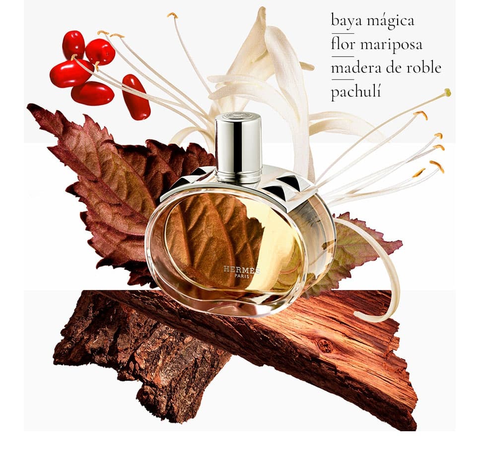 Hermes-Barenia-EDP-2